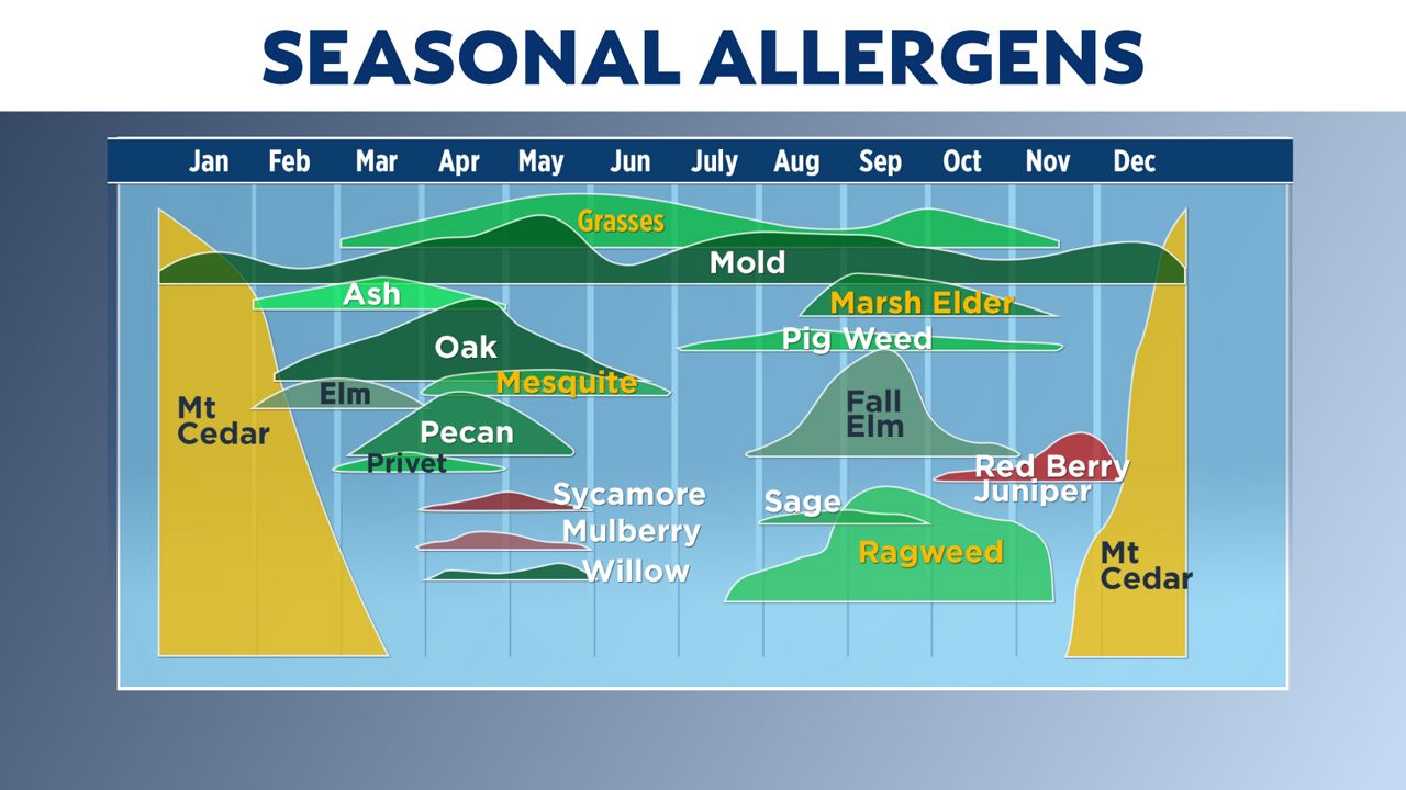 Allergies in Texas A yearround party